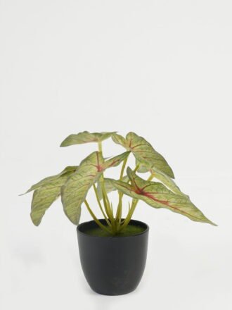 Artificial Table Plants 17*17*15cm Leaf in PP pot GS-70123028CONTI Potted Flowers&Plants 3,000+ sqm showroom with thousands of artificial flowers, plants & trees ready for global sourcing.