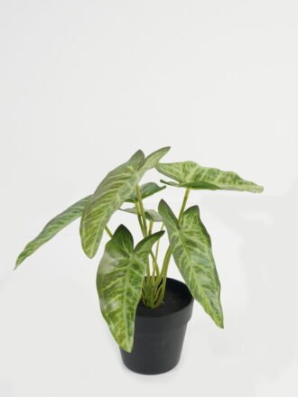 Artificial Table Plants 17*17*15cm Leaf in PP pot GS-70123029CONTI Potted Flowers&Plants 3,000+ sqm showroom with thousands of artificial flowers, plants & trees ready for global sourcing.