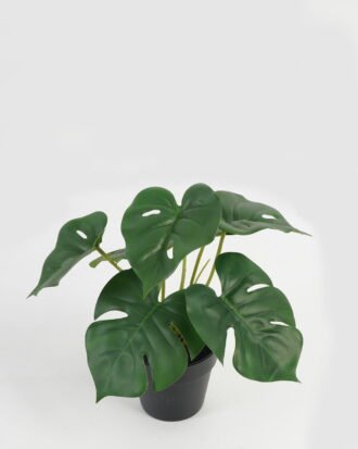 Artificial Table Plants 21*21*23cm Leaf in PP pot GS-70123042CONTI Potted Flowers&Plants YeahFlower is one of Chinese leading OEM manufacturers and exporters , supplying the silk flowers, wholesale artificial trees
