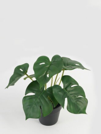 Artificial Table Plants 21*21*23cm Leaf in PP pot GS-70123041CONTI Potted Flowers&Plants 3,000+ sqm showroom with thousands of artificial flowers, plants & trees ready for global sourcing.