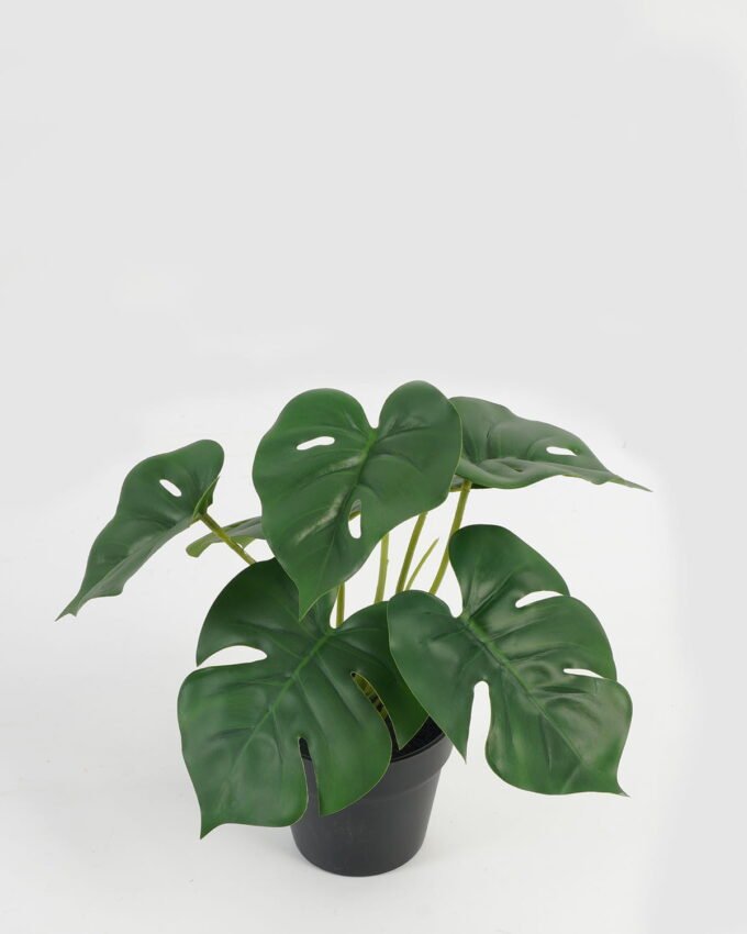 Artificial Table Plants 21*21*23cm Leaf in PP pot GS-70123042CONTI Potted Flowers&Plants YeahFlower is one of Chinese leading OEM manufacturers and exporters , supplying the silk flowers, wholesale artificial trees