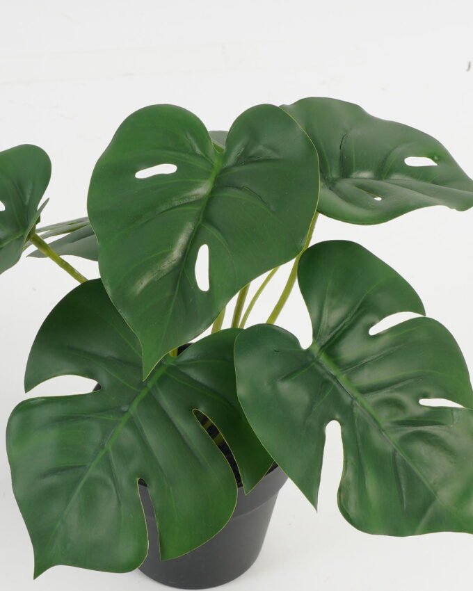 Artificial Table Plants 21*21*23cm Leaf in PP pot GS-70123042CONTI Potted Flowers&Plants YeahFlower is one of Chinese leading OEM manufacturers and exporters , supplying the silk flowers, wholesale artificial trees