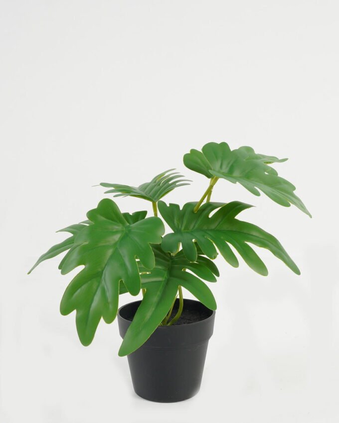 Artificial Table Plants 25*25*23cm Leaf in PP pot GS-70123043CONTI Potted Flowers&Plants YeahFlower is one of Chinese leading OEM manufacturers and exporters , supplying the silk flowers, wholesale artificial trees