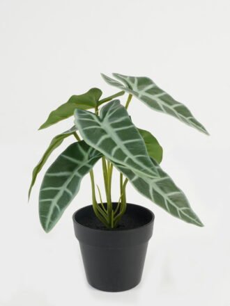 Artificial Table Plants 20*20*22cm Leaf in PP pot GS-70123045CONTI Potted Flowers&Plants 3,000+ sqm showroom with thousands of artificial flowers, plants & trees ready for global sourcing.