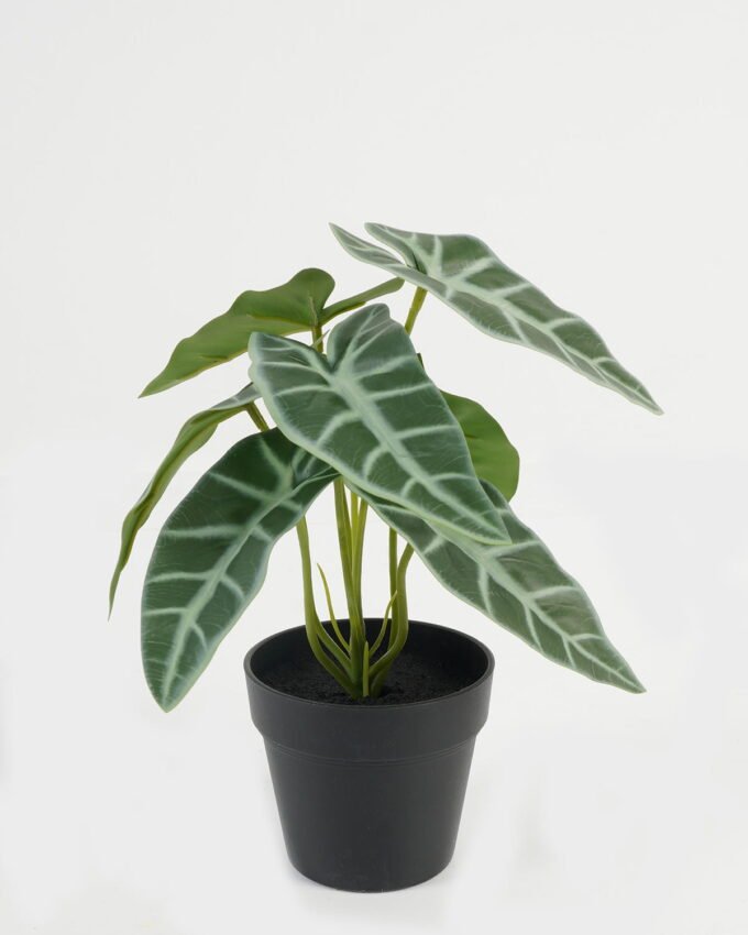 Artificial Table Plants 21*21*23cm Leaf in PP pot GS-70123044CONTI Potted Flowers&Plants YeahFlower is one of Chinese leading OEM manufacturers and exporters , supplying the silk flowers, wholesale artificial trees