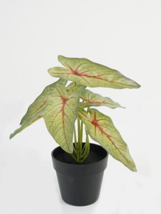 Artificial Table Plants 21*21*23cm Leaf in PP pot GS-70123044CONTI Potted Flowers&Plants 3,000+ sqm showroom with thousands of artificial flowers, plants & trees ready for global sourcing.