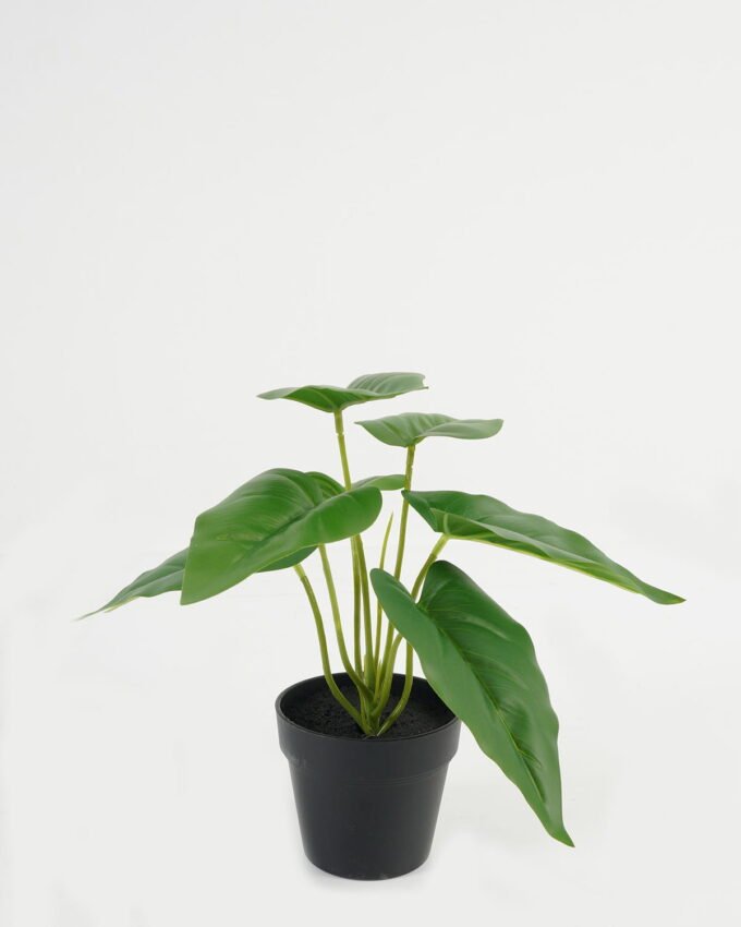 Artificial Table Plants 19*19*20cm Leaf in PP pot GS-70123047CONTI Potted Flowers&Plants YeahFlower is one of Chinese leading OEM manufacturers and exporters , supplying the silk flowers, wholesale artificial trees