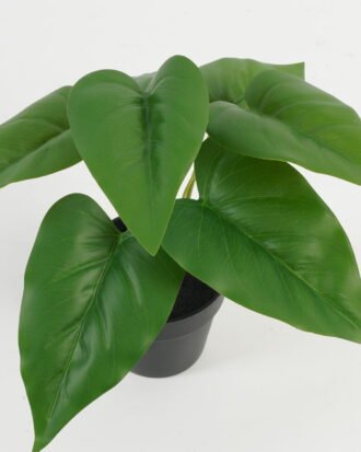 Artificial Table Plants 19*19*20cm Leaf in PP pot GS-70123047CONTI Potted Flowers&Plants YeahFlower is one of Chinese leading OEM manufacturers and exporters , supplying the silk flowers, wholesale artificial trees
