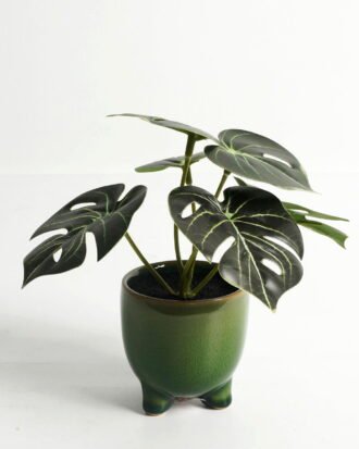 Artificial Table Plants 15*12*16cm Monstera in ceramic pot GS-03323106-G4 Potted Flowers&Plants YeahFlower is one of Chinese leading OEM manufacturers and exporters , supplying the silk flowers, wholesale artificial trees Artificial Table Plants 15*12*16cm Monstera in ceramic pot GS-03323106-G4 Potted Flowers&Plants YeahFlower is one of Chinese leading OEM manufacturers and exporters , supplying the silk flowers, wholesale artificial trees