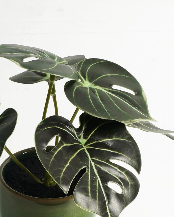 Artificial Table Plants 15*12*16cm Monstera in ceramic pot GS-03323106-G4 Potted Flowers&Plants YeahFlower is one of Chinese leading OEM manufacturers and exporters , supplying the silk flowers, wholesale artificial trees