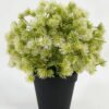 Artificial Table Plants 22*22*23cm Plant in PP pot GS-70423011CONTI-G2 Potted Flowers&Plants YeahFlower is one of Chinese leading OEM manufacturers and exporters , supplying the silk flowers, wholesale artificial trees