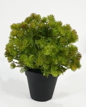 Artificial Table Plants 22*22*23cm Plant in PP pot GS-70423011CONTI-G2 Potted Flowers&Plants YeahFlower is one of Chinese leading OEM manufacturers and exporters , supplying the silk flowers, wholesale artificial trees