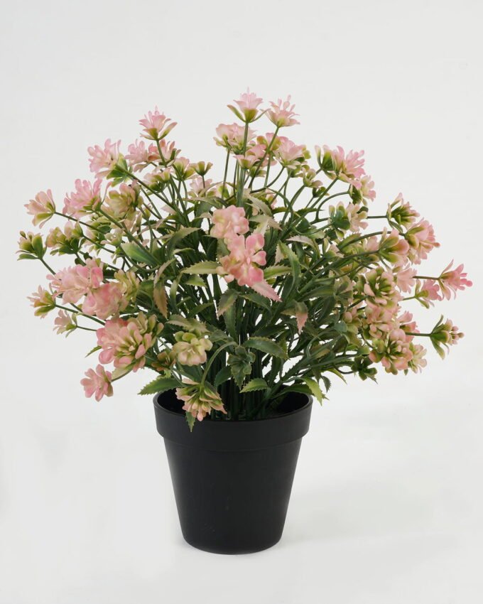 Artificial Table Plants 23*23*29cm Plant in PP pot GS-70423012CONTI Potted Flowers&Plants YeahFlower is one of Chinese leading OEM manufacturers and exporters , supplying the silk flowers, wholesale artificial trees
