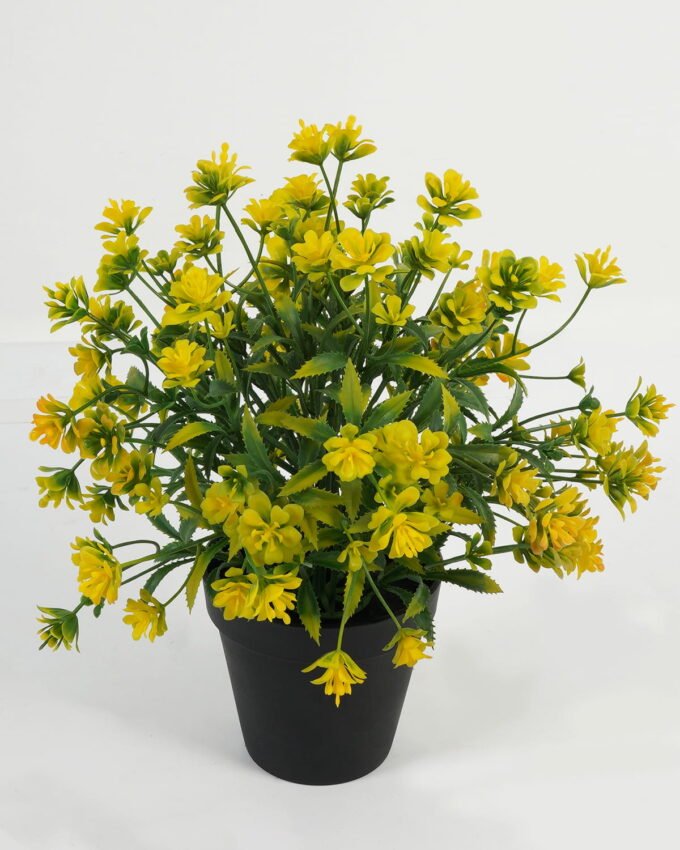 Artificial Table Plants 23*23*29cm Plant in PP pot GS-70423012CONTI Potted Flowers&Plants YeahFlower is one of Chinese leading OEM manufacturers and exporters , supplying the silk flowers, wholesale artificial trees