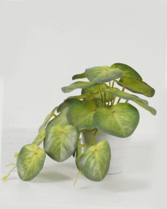 Artificial Table Plants 25*15*17cm Taro /Ivs22 GS-70123019 Potted Flowers&Plants YeahFlower is one of Chinese leading OEM manufacturers and exporters , supplying the silk flowers, wholesale artificial trees Artificial Table Plants 25*15*17cm Taro /Ivs22 GS-70123019 Potted Flowers&Plants YeahFlower is one of Chinese leading OEM manufacturers and exporters , supplying the silk flowers, wholesale artificial trees
