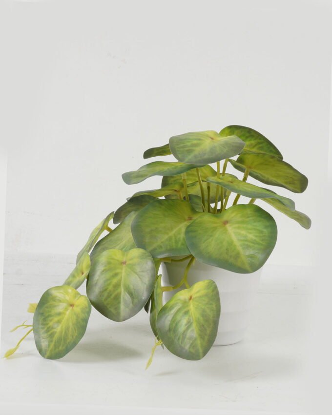 Artificial Table Plants 25*15*17cm Taro /Ivs22 GS-70123019 Potted Flowers&Plants YeahFlower is one of Chinese leading OEM manufacturers and exporters , supplying the silk flowers, wholesale artificial trees