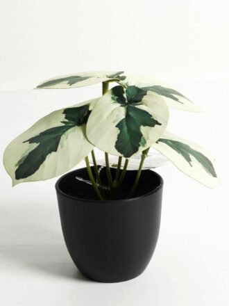 Artificial Table Plants 15*12*16cm Monstera in ceramic pot GS-03323106-G4 Potted Flowers&Plants 3,000+ sqm showroom with thousands of artificial flowers, plants & trees ready for global sourcing.