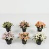 Artificial Table Plants 20*20*19cm Wild flower in PP pot GS-03323029-O1 Potted Flowers&Plants YeahFlower is one of Chinese leading OEM manufacturers and exporters , supplying the silk flowers, wholesale artificial trees