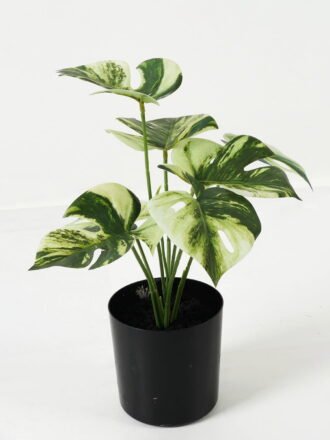 Artificial Table Plants  GS-05523021CONTI Potted Flowers&Plants 3,000+ sqm showroom with thousands of artificial flowers, plants & trees ready for global sourcing.