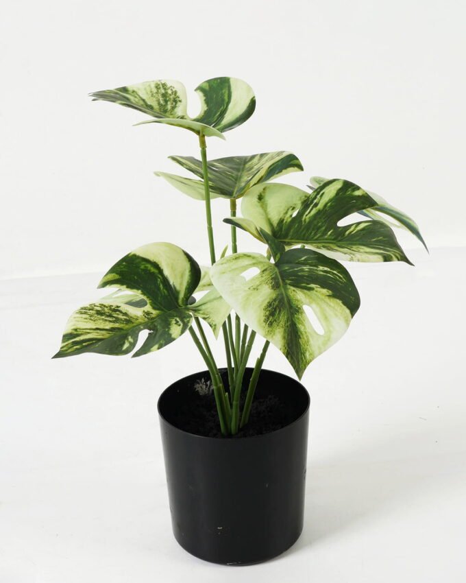 Artificial Table Plants 24*24*29cm mini Montera * 7 in pot (3D printing) GS-03323127 Potted Flowers&Plants YeahFlower is one of Chinese leading OEM manufacturers and exporters , supplying the silk flowers, wholesale artificial trees