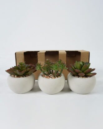 Artificial Table Plants succulent plants in cement pot GS-51720130-R1 Potted Flowers&Plants YeahFlower is one of Chinese leading OEM manufacturers and exporters , supplying the silk flowers, wholesale artificial trees