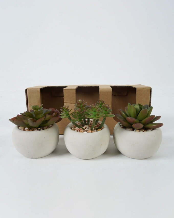 Artificial Table Plants succulent plants in cement pot GS-51720130-R1 Potted Flowers&Plants YeahFlower is one of Chinese leading OEM manufacturers and exporters , supplying the silk flowers, wholesale artificial trees