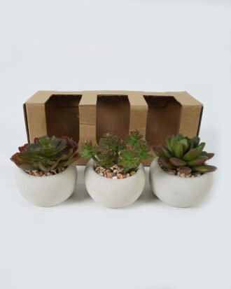 Artificial Table Plants succulent plants in cement pot GS-51720130-R1 Potted Flowers&Plants YeahFlower is one of Chinese leading OEM manufacturers and exporters , supplying the silk flowers, wholesale artificial trees