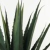 Artificial Tree 112cm Maguey in PP pot 18 lvs GS-59523097CONTI _6 Artificial Tree 112cm Maguey in PP pot/18 lvs GS-59523097CONTI Tree&Plant YeahFlower is one of Chinese leading OEM manufacturers and exporters , supplying the silk flowers, wholesale artificial trees
