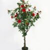 Artificial Tree 120cm Rose tree in pp pot GS-64223005 Tree&Plant YeahFlower is one of Chinese leading OEM manufacturers and exporters , supplying the silk flowers, wholesale artificial trees
