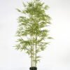 Artificial Tree 175cm Bamboo tree in the pp pot GS-59523081KD Tree&Plant YeahFlower is one of Chinese leading OEM manufacturers and exporters , supplying the silk flowers, wholesale artificial trees