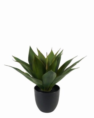 Artificial Tree 37cm Plant in PP pot/17 lvs GS-59523096CONTI Tree&Plant 3,000+ sqm showroom with thousands of artificial flowers, plants & trees ready for global sourcing.