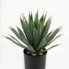 Artificial Tree 40cm Maguey in PP pot 34 lvs GS-59523099CONTI_1 Artificial Tree 40cm Maguey in PP pot/34 lvs GS-59523099CONTI Tree&Plant YeahFlower is one of Chinese leading OEM manufacturers and exporters , supplying the silk flowers, wholesale artificial trees