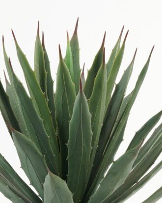 Artificial Tree 40cm Maguey in PP pot/34 lvs GS-59523099CONTI Tree&Plant 3,000+ sqm showroom with thousands of artificial flowers, plants & trees ready for global sourcing.