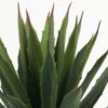 Artificial Tree 40cm Maguey in PP pot/34 lvs GS-59523100CONTI Tree&Plant YeahFlower is one of Chinese leading OEM manufacturers and exporters , supplying the silk flowers, wholesale artificial trees