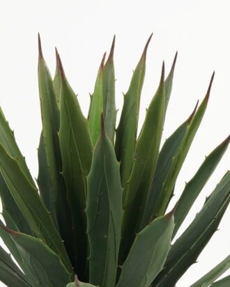 Artificial Tree 40cm Maguey in PP pot/34 lvs GS-59523100CONTI Tree&Plant 3,000+ sqm showroom with thousands of artificial flowers, plants & trees ready for global sourcing.