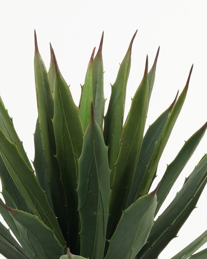 Artificial Tree 40cm Maguey in PP pot/34 lvs GS-59523100CONTI Tree&Plant YeahFlower is one of Chinese leading OEM manufacturers and exporters , supplying the silk flowers, wholesale artificial trees