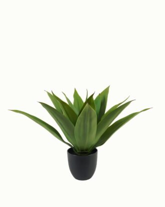 Artificial Tree 45cm Plant in PP pot/14 lvs GS-59523095CONTI Tree&Plant 3,000+ sqm showroom with thousands of artificial flowers, plants & trees ready for global sourcing.