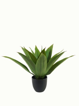 Artificial Tree 37cm Plant in PP pot/17 lvs GS-59523096CONTI Tree&Plant 3,000+ sqm showroom with thousands of artificial flowers, plants & trees ready for global sourcing.