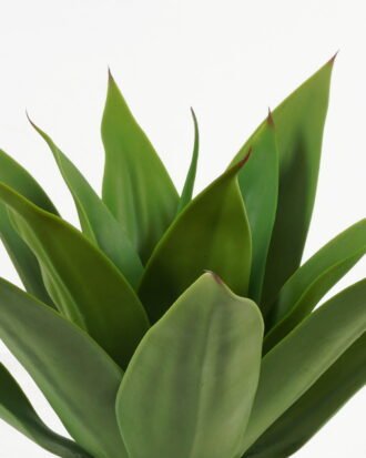 Artificial Tree 45cm Plant in PP pot/14 lvs GS-59523095CONTI Tree&Plant 3,000+ sqm showroom with thousands of artificial flowers, plants & trees ready for global sourcing.