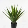 Artificial Tree 83cm Maguey in PP pot 25 lvs GS-59523098CONTI _1 Artificial Tree 83cm Maguey in PP pot/25 lvs GS-59523098CONTI Tree&Plant YeahFlower is one of Chinese leading OEM manufacturers and exporters , supplying the silk flowers, wholesale artificial trees