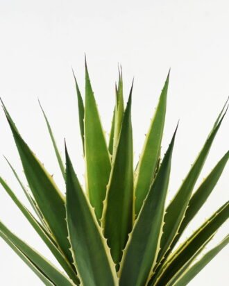 Artificial Tree 83cm Maguey in PP pot/25 lvs GS-59523098CONTI Tree&Plant 3,000+ sqm showroom with thousands of artificial flowers, plants & trees ready for global sourcing.