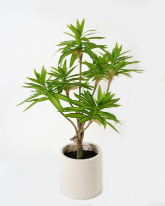 Artificial Tree 90cm Dracaena reflexa in PP pot GS-61923002 Tree&Plant YeahFlower is one of Chinese leading OEM manufacturers and exporters , supplying the silk flowers, wholesale artificial trees