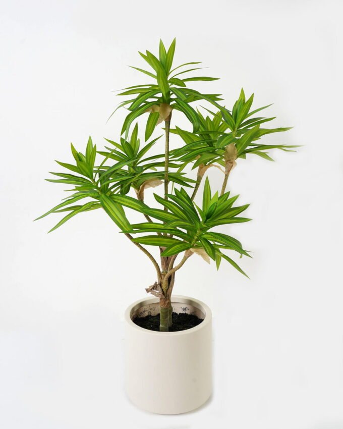Artificial Tree 90cm Dracaena reflexa in PP pot GS-61923002 Tree&Plant YeahFlower is one of Chinese leading OEM manufacturers and exporters , supplying the silk flowers, wholesale artificial trees