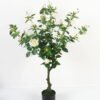 Artificial Tree 90cm Rose tree in pp pot GS-64223004 Tree&Plant YeahFlower is one of Chinese leading OEM manufacturers and exporters , supplying the silk flowers, wholesale artificial trees