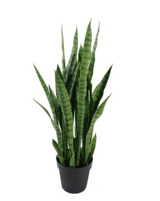 Artificial Tree 90cm Sansevieria *12 in PP pot GS-59523053 Tree&Plant 3,000+ sqm showroom with thousands of artificial flowers, plants & trees ready for global sourcing.