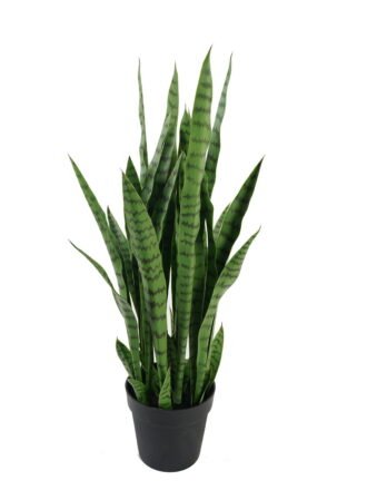 Artificial Tree 80cm Plant in PP pot/40 lvs GS-59523062 Tree&Plant 3,000+ sqm showroom with thousands of artificial flowers, plants & trees ready for global sourcing.