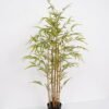 Artificial Tree Bamboo tree 5 in PP pot GS-69423045CONTI_6 Artificial Tree 60*60*120cm Bamboo tree *5 in PP pot GS-69423045CONTI Tree&Plant YeahFlower is one of Chinese leading OEM manufacturers and exporters , supplying the silk flowers, wholesale artificial trees