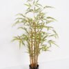Artificial Tree 50*50*95cm Bamboo tree *7 in PP pot GS-69423044CONTI Tree&Plant YeahFlower is one of Chinese leading OEM manufacturers and exporters , supplying the silk flowers, wholesale artificial trees