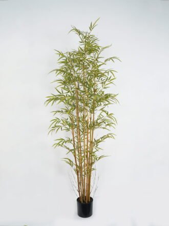 Artificial Tree 60*60*120cm Bamboo tree *5 in PP pot GS-69423045CONTI Tree&Plant 3,000+ sqm showroom with thousands of artificial flowers, plants & trees ready for global sourcing.
