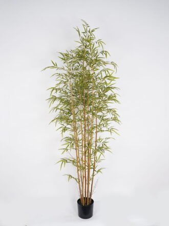 Artificial Tree 74*74*192cm Bamboo tree *7 in PP pot GS-69423047CONTI Tree&Plant 3,000+ sqm showroom with thousands of artificial flowers, plants & trees ready for global sourcing.